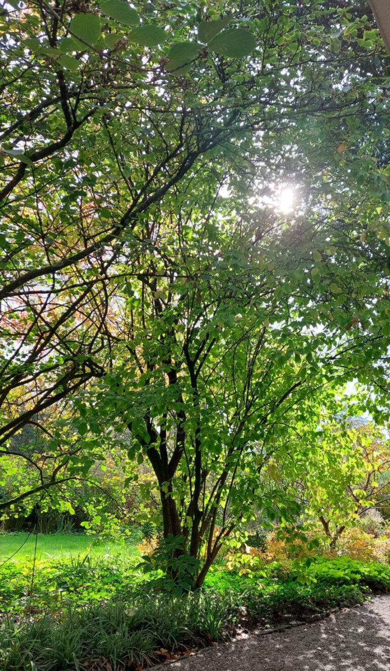 Schöne Natur im Hermannshof
