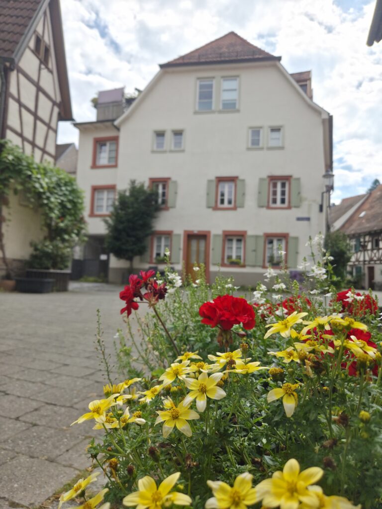 Altstadtperle Ferienwohnung Weinheim