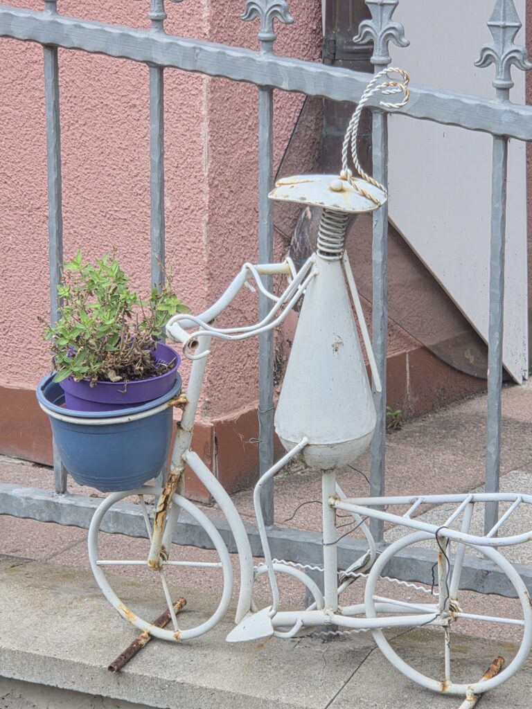 Süßer Frosch im Gerberbachviertel